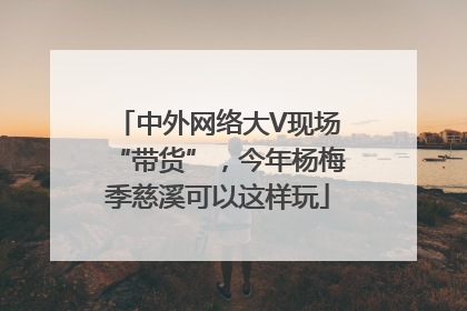 中外网络大V现场“带货”，今年杨梅季慈溪可以这样玩