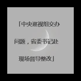 中央巡视组交办问题，省委书记赴现场督导整改