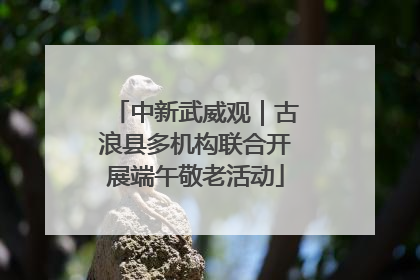 中新武威观｜古浪县多机构联合开展端午敬老活动