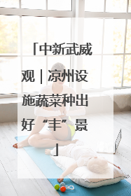 中新武威观｜凉州设施蔬菜种出好“丰”景