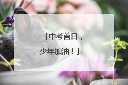中考首日，少年加油！