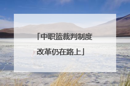中职篮裁判制度改革仍在路上