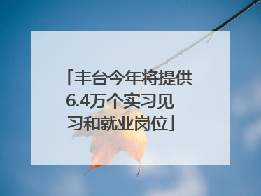丰台今年将提供6.4万个实习见习和就业岗位