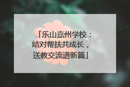 乐山嘉州学校：结对帮扶共成长，送教交流谱新篇