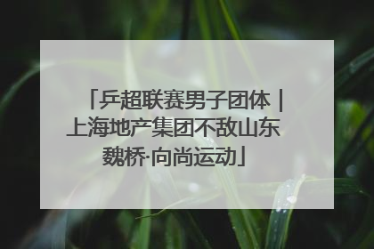 乒超联赛男子团体｜上海地产集团不敌山东魏桥·向尚运动