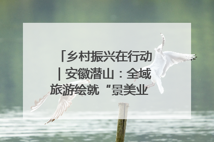 乡村振兴在行动｜安徽潜山：全域旅游绘就“景美业兴民富”新画卷