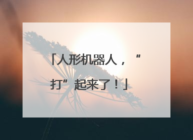 人形机器人，“打”起来了！