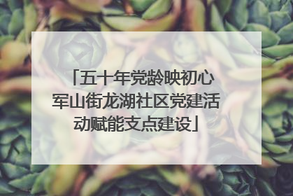 五十年党龄映初心 军山街龙湖社区党建活动赋能支点建设