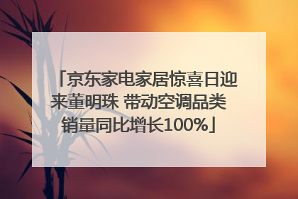 京东家电家居惊喜日迎来董明珠 带动空调品类销量同比增长100%