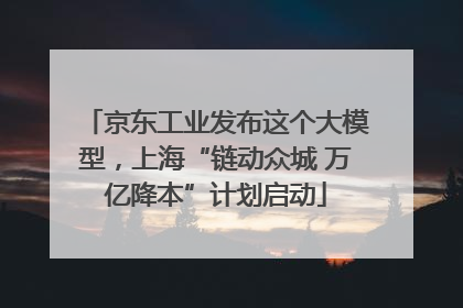 京东工业发布这个大模型，上海“链动众城 万亿降本”计划启动