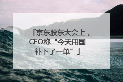 京东股东大会上，CEO称“今天用国补下了一单”