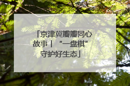 京津冀瓣瓣同心故事丨“一盘棋”守护好生态