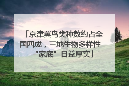 京津冀鸟类种数约占全国四成，三地生物多样性“家底”日益厚实