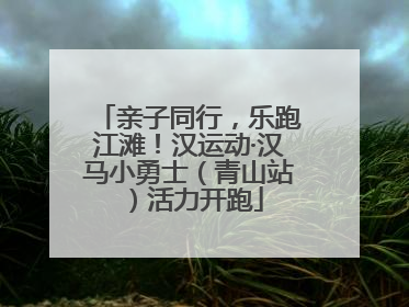 亲子同行，乐跑江滩！汉运动·汉马小勇士（青山站）活力开跑
