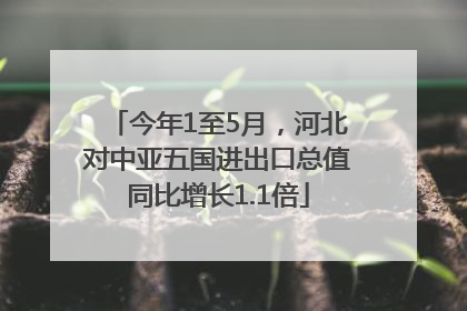 今年1至5月，河北对中亚五国进出口总值同比增长1.1倍