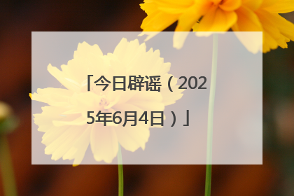 今日辟谣（2025年6月4日）