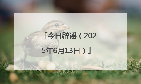 今日辟谣（2025年6月13日）