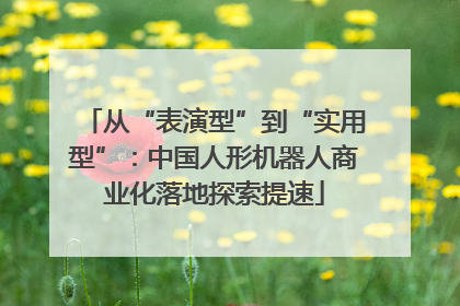 从“表演型”到“实用型”：中国人形机器人商业化落地探索提速