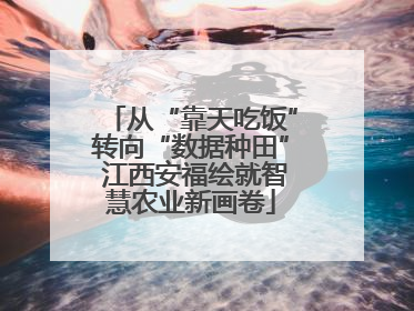 从“靠天吃饭”转向“数据种田” 江西安福绘就智慧农业新画卷
