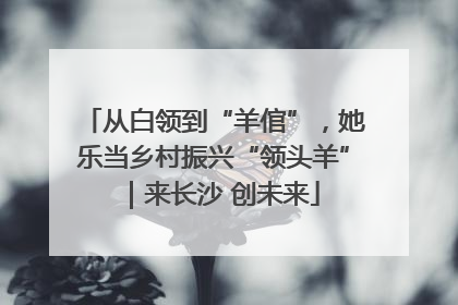 从白领到“羊倌”，她乐当乡村振兴“领头羊”｜来长沙 创未来
