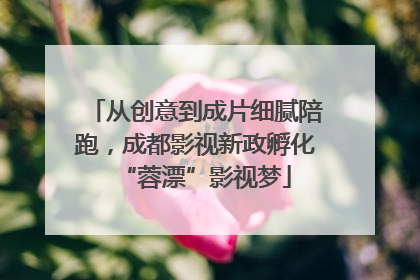 从创意到成片细腻陪跑，成都影视新政孵化“蓉漂”影视梦
