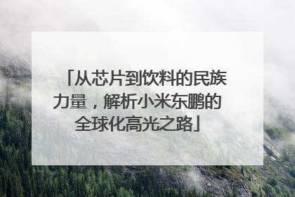 从芯片到饮料的民族力量，解析小米东鹏的全球化高光之路