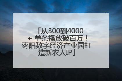 从300到4000+ 单条播放破百万！枣阳数字经济产业园打造新农人IP
