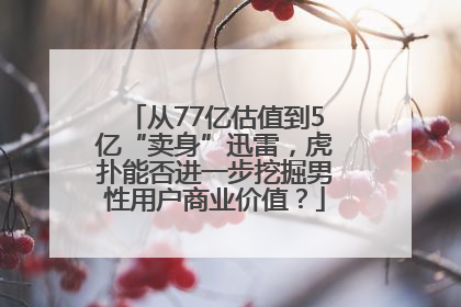 从77亿估值到5亿“卖身”迅雷，虎扑能否进一步挖掘男性用户商业价值？