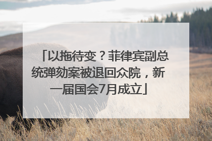 以拖待变？菲律宾副总统弹劾案被退回众院，新一届国会7月成立