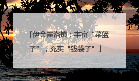 伊金霍洛镇：丰富“菜篮子”，充实“钱袋子”