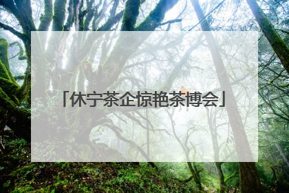 休宁茶企惊艳茶博会