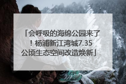 会呼吸的海绵公园来了！杨浦新江湾城7.35公顷生态空间改造焕新