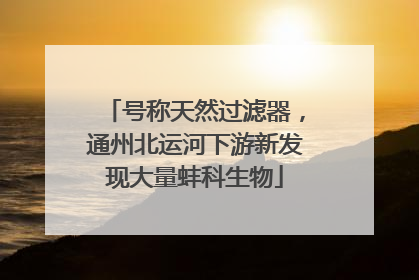 号称天然过滤器，通州北运河下游新发现大量蚌科生物