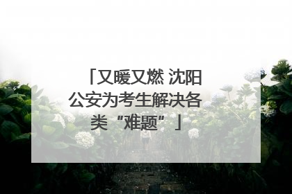 又暖又燃 沈阳公安为考生解决各类“难题”
