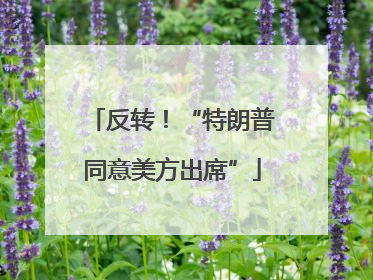 反转！“特朗普同意美方出席”