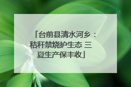 台前县清水河乡：秸秆禁烧护生态 三夏生产保丰收