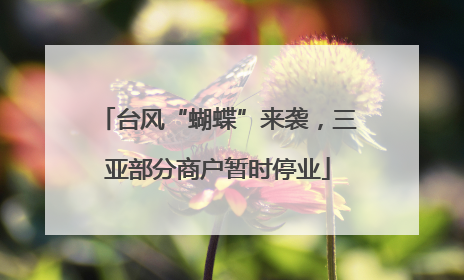 台风“蝴蝶”来袭，三亚部分商户暂时停业
