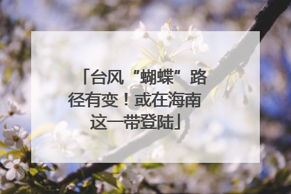 台风“蝴蝶”路径有变！或在海南这一带登陆