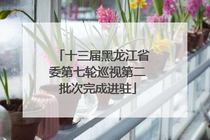 十三届黑龙江省委第七轮巡视第二批次完成进驻