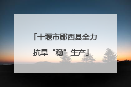 十堰市郧西县全力抗旱“稳”生产
