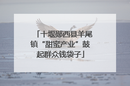 十堰郧西县羊尾镇“甜蜜产业”鼓起群众钱袋子