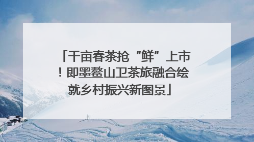 千亩春茶抢“鲜”上市！即墨鳌山卫茶旅融合绘就乡村振兴新图景