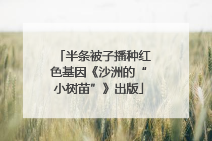 半条被子播种红色基因《沙洲的“小树苗”》出版