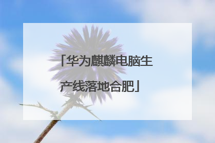 华为麒麟电脑生产线落地合肥