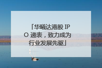 华曦达港股 IPO 递表，致力成为行业发展先驱