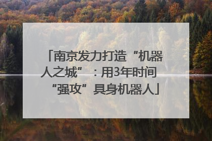 南京发力打造“机器人之城”：用3年时间“强攻”具身机器人