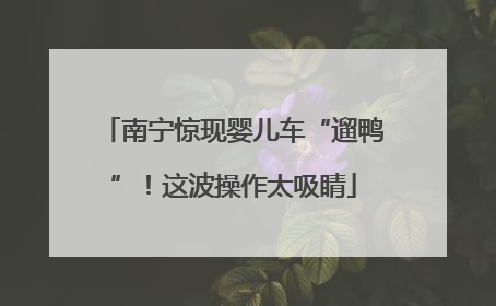 南宁惊现婴儿车“遛鸭”！这波操作太吸睛
