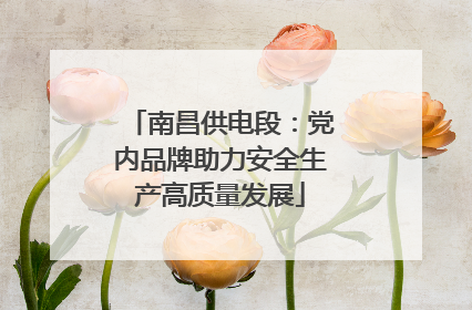 南昌供电段：党内品牌助力安全生产高质量发展