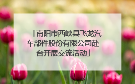 南阳市西峡县飞龙汽车部件股份有限公司赴台开展交流活动