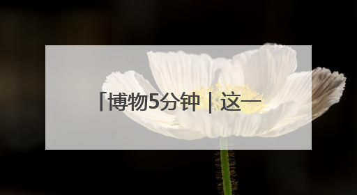 博物5分钟｜这一刀，值半斤黄金！